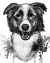 Watercolor Grayscale Australian Shepherd Caricature Portrait