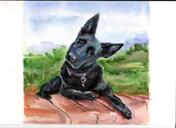 Hundeposter gedrucktes Porträt