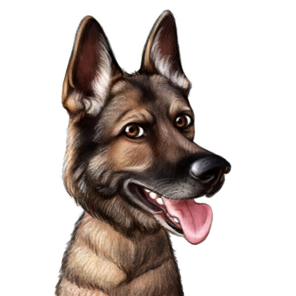 German Shepherd Dog isolated on white background. Realistic drawing of a  head of a Long Coat German Shepherd. Animal Art collection: Dogs. Hand  Painted Illustration of Pets. Design template Stock Illustration |