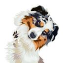 Border Collie Caricature