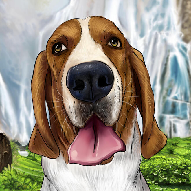 Basset Hound Portrait