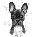 Franse Bulldog karikatuur portret cartoon in hoofd en schouders zwart lood aquarel stijl