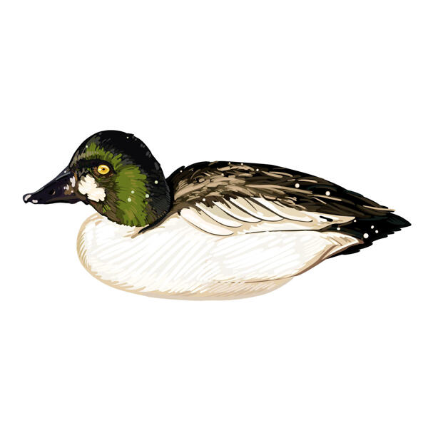 Regalo personalizado de retrato de caricatura de pato de Photo for Birds Lover