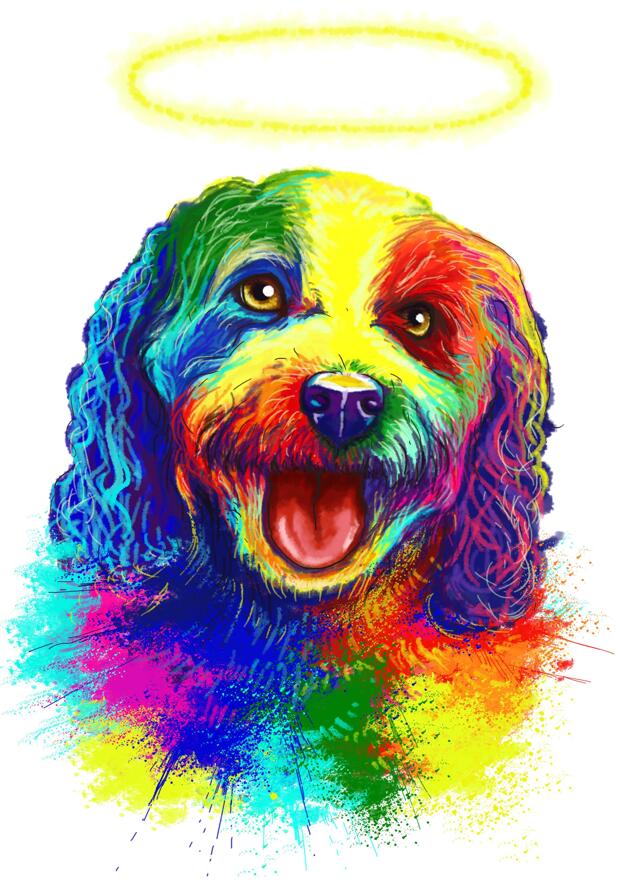 rainbow bridge dog