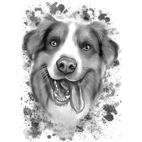 Watercolor Grayscale Australian Shepherd Caricature Portrait