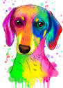 Retrato de perro salchicha arco iris