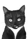 Kattporträtt från foton i svartvit stil