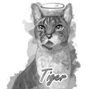 Cat Memorial Portrait with Halo