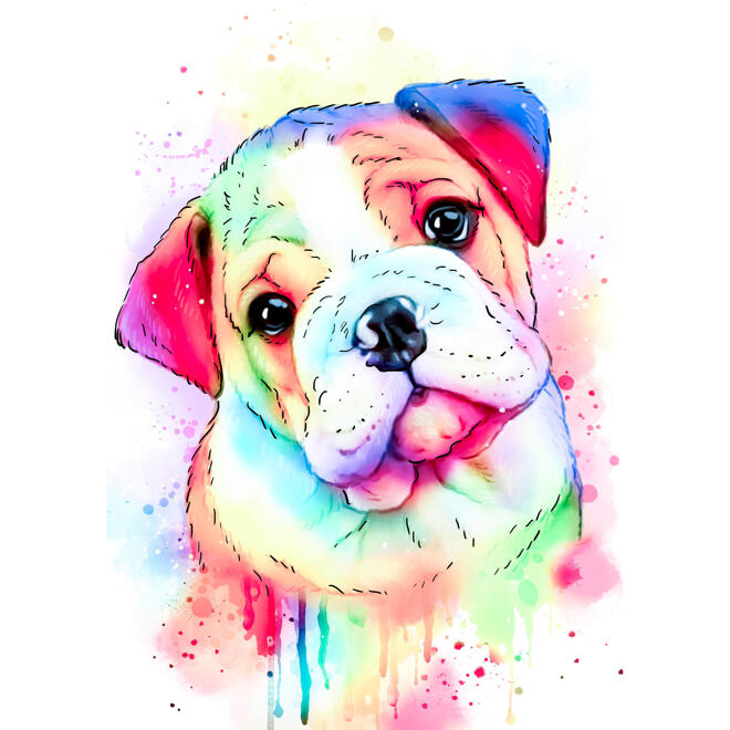 Bulldog karikaturportræt i pastel-akvarelstil, tegnet fra fotos
