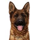 Portret caniche miniatural