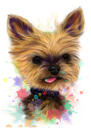 Yorkie Terrier in Natural Watercolor Hand Drawn from Photos