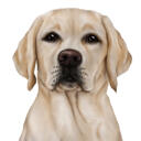 Labrador Cartoon Portrait