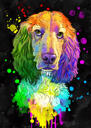 Rainbow Dog porträtt på svart bakgrund