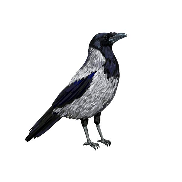 Full Body Crow Portrait in Color Style from Photos