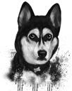 Graphite Husky Portrait