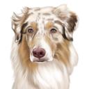 Australian Shepherd Caricature