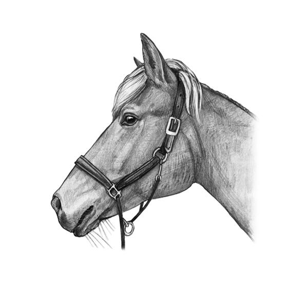 Horse Portrait in Black and White Style