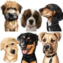 Fotoğraflardan Özel Köpek Grup Portresi