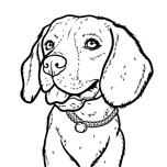 Portrait personnalisé de chien