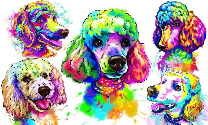 Poodle Caricature