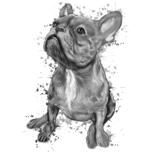 Trækul fransk bulldog portræt