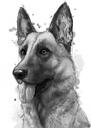 Retrato de grafite do cão pastor alemão em fotos