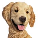 Custom Dog Portrait