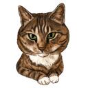 Individuelles Katzenporträt nach Fotos