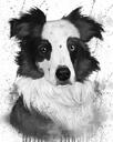 Watercolor Grayscale Australian Shepherd Caricature Portrait