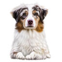 Custom Dog Cartoon Portrait