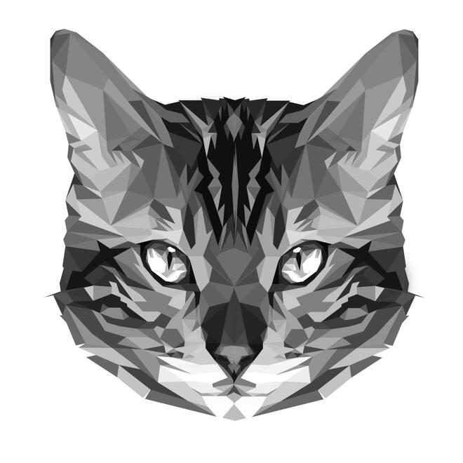 Katzenporträt im Schwarz-Weiß-Low-Poly-Kunststil von Fotos