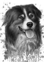 Graphite Bernese Mountain Dog Portrait in Watercolor Style