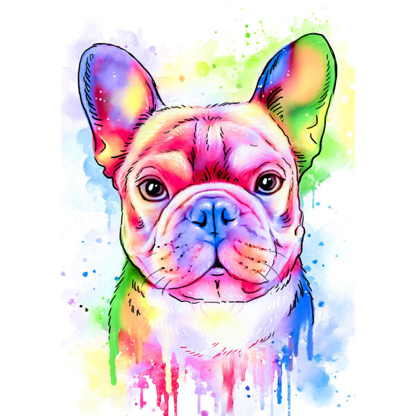 Ranskanbulldoggi muotokuva pastelli-akvarelli