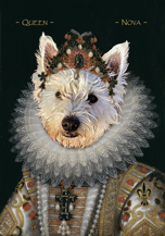 Royal Cats & Dogs:-0