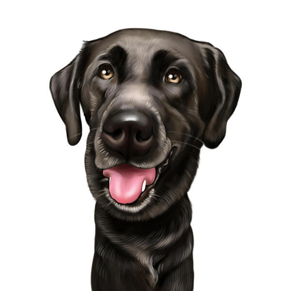 Portrait de dessin animé de Labrador personnalisé