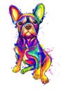 Full Body Rainbow Akvarell Fransk Bulldog Porträtt från Photos