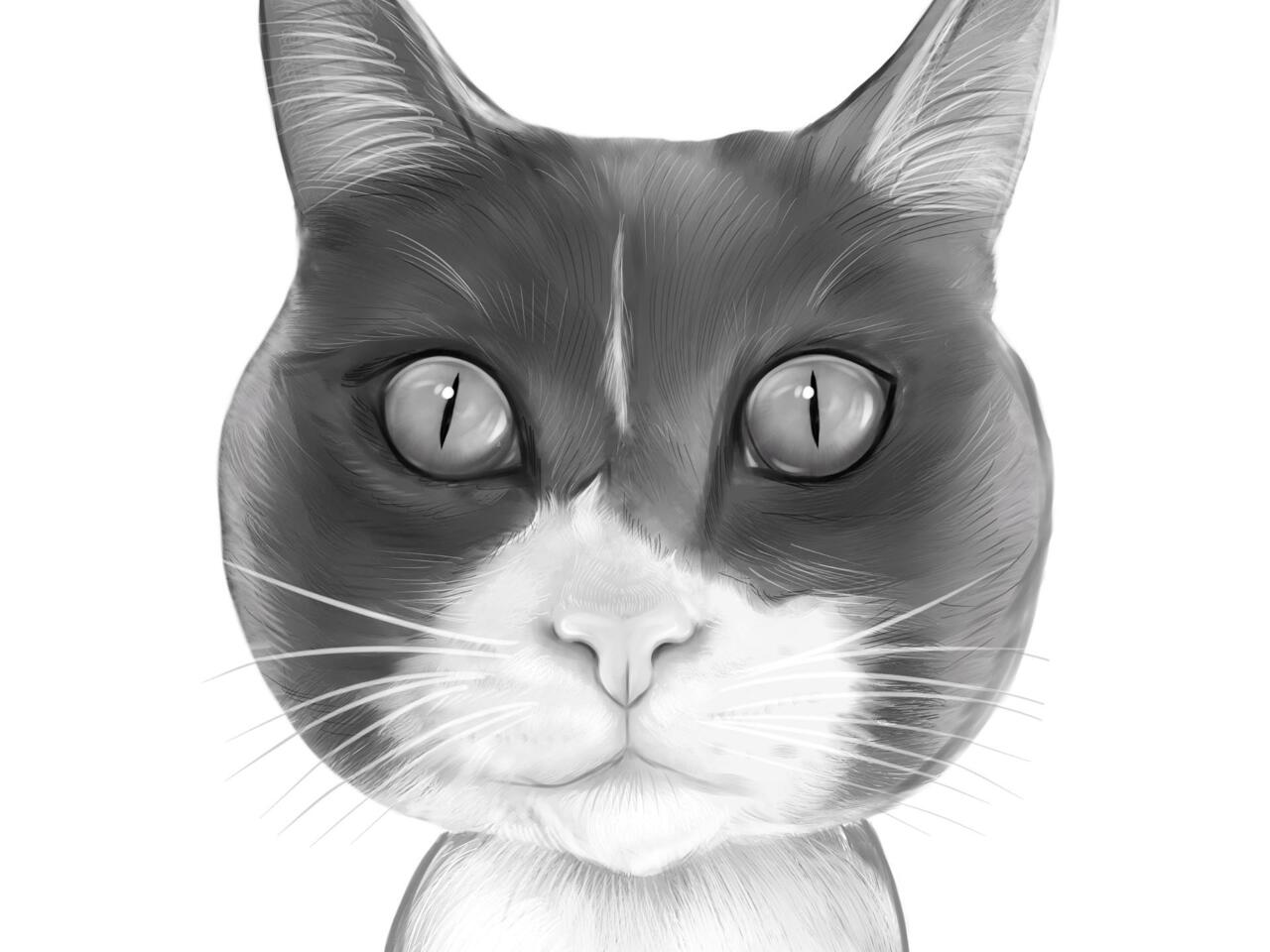 Portrait de chat partir de photos en style noir et blanc