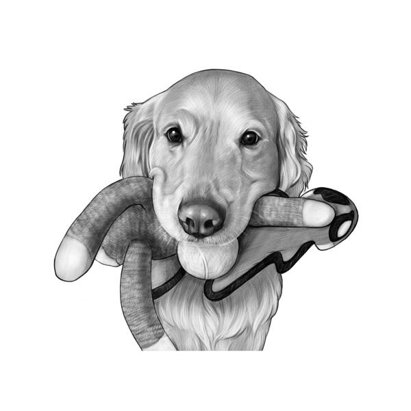 Must-valge Labradori portree mänguasjaga
