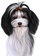 Cute+Christmas+Dog+Portrait+from+Photos
