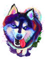 Desenho Aquarela de Cão Husky de Corpo Inteiro