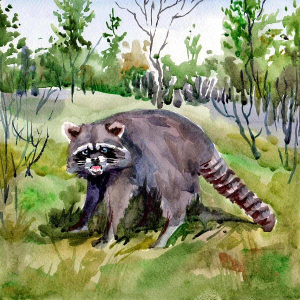 Any Pet Painting from Photos with Background: Watercolor Style