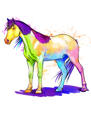 Portrét akvarelového koně z fotografií ve stylu celého těla