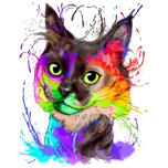 Disegno del gatto arcobaleno con spruzzi