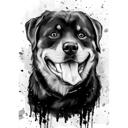 Portrait de Rottweiler graphite à partir de photos dans un style aquarelle
