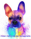 Porträt-Pastell-Aquarell der französischen Bulldogge