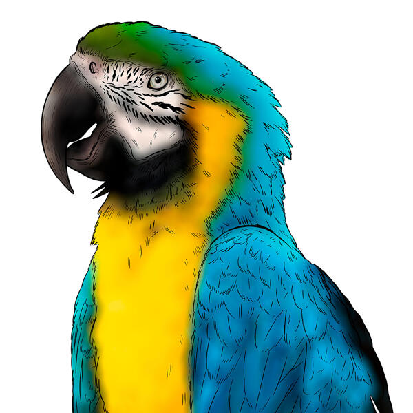 Цветной портрет попугая по фото