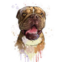 Portret Bulldog acuarelă în colorat natural