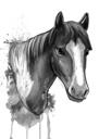 Portret de cal din grafit acuarelă din fotografii