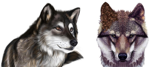 caricatura de lobo
