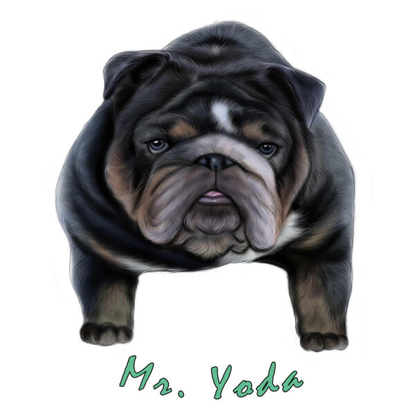 Disegno del ritratto del bulldog